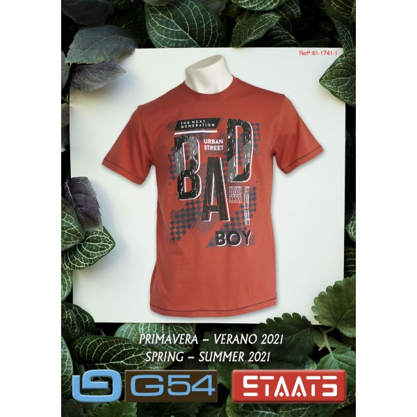 Camiseta m/c STAATS en colores - 1
